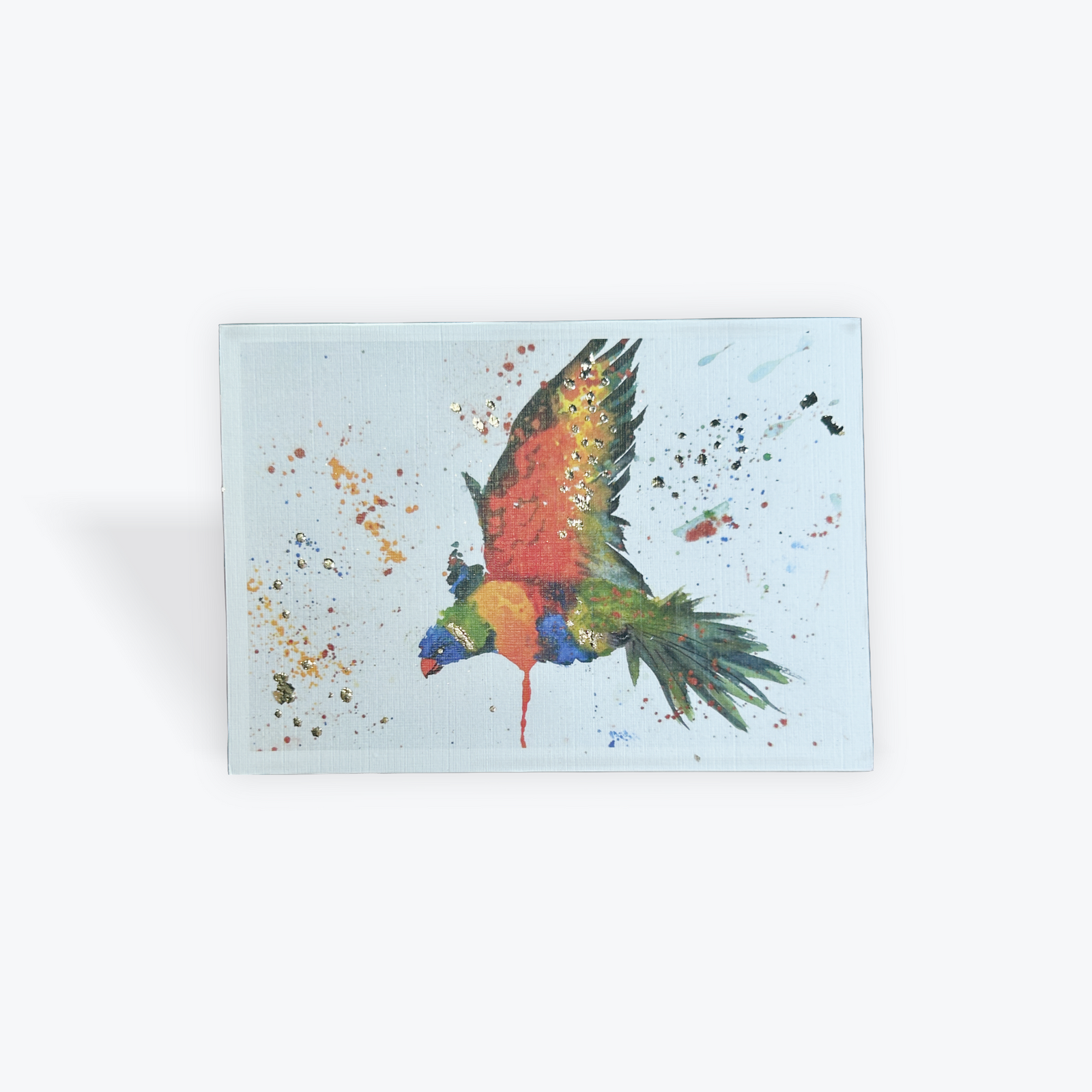 Flying Parrot Greeting / Sentiment Card by Chez