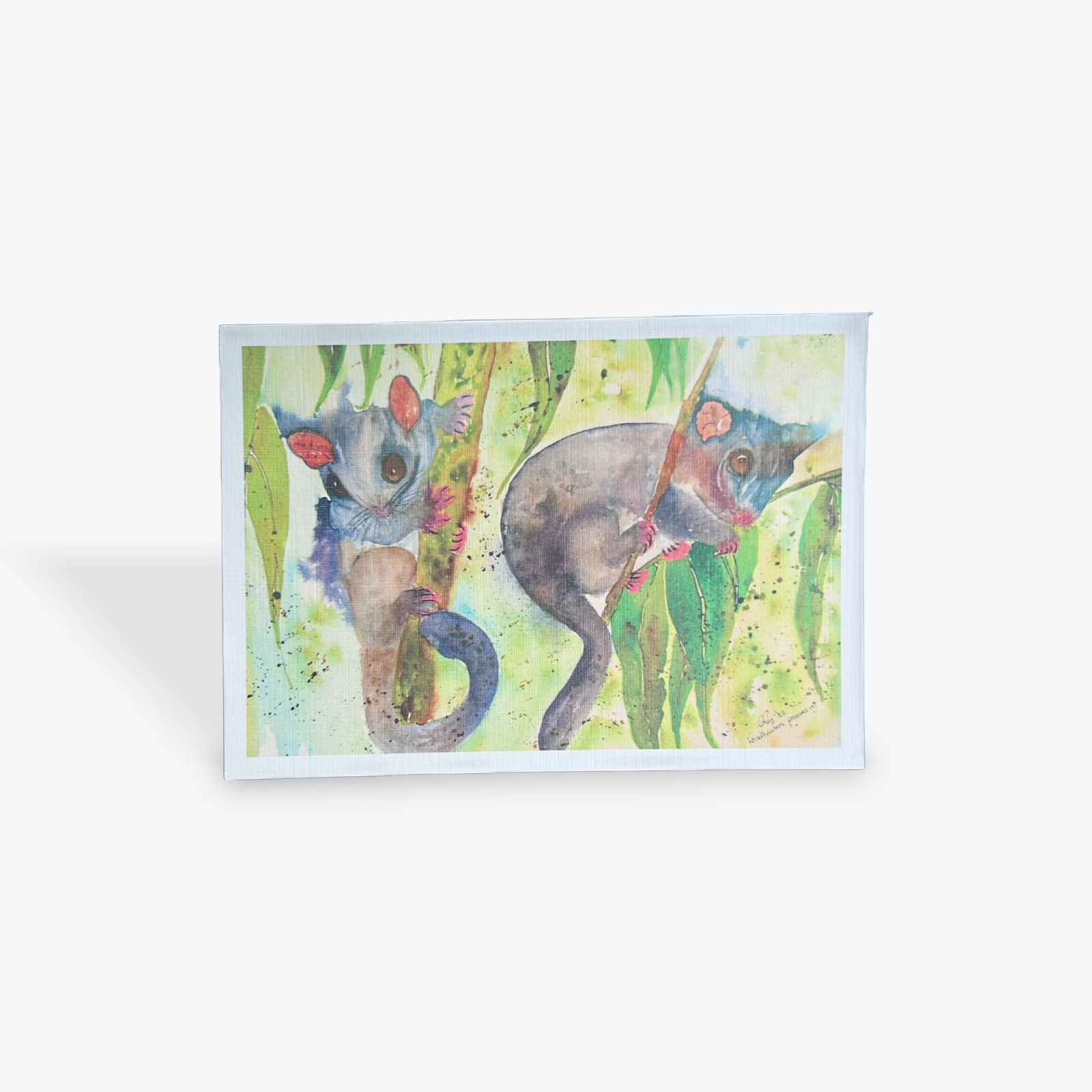 Two Possums Greeting / Sentiment Card by Chez